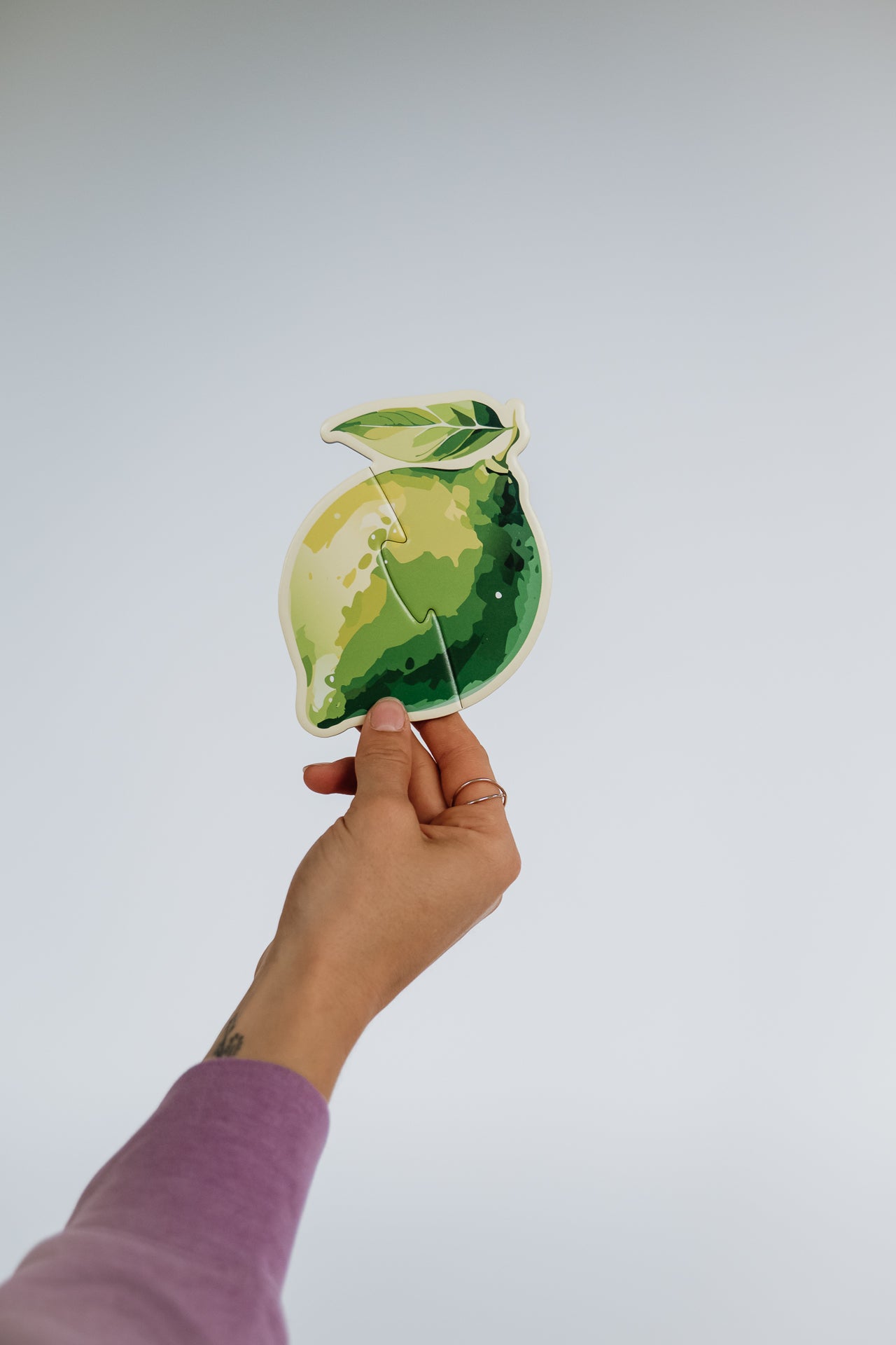 MES PREMIERS CASSE-TÊTES - Série Fruits