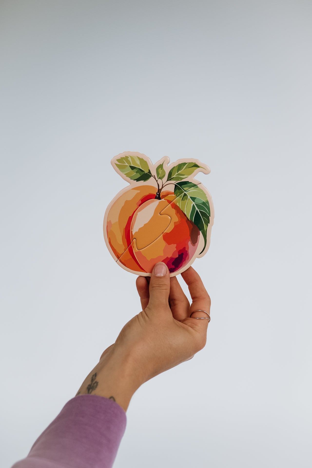 MES PREMIERS CASSE-TÊTES - Série Fruits