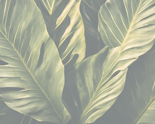 Grandes feuilles vertes tropicales en gros plan, pour un article sur le prénom le plus populaire de chaque année au Québec